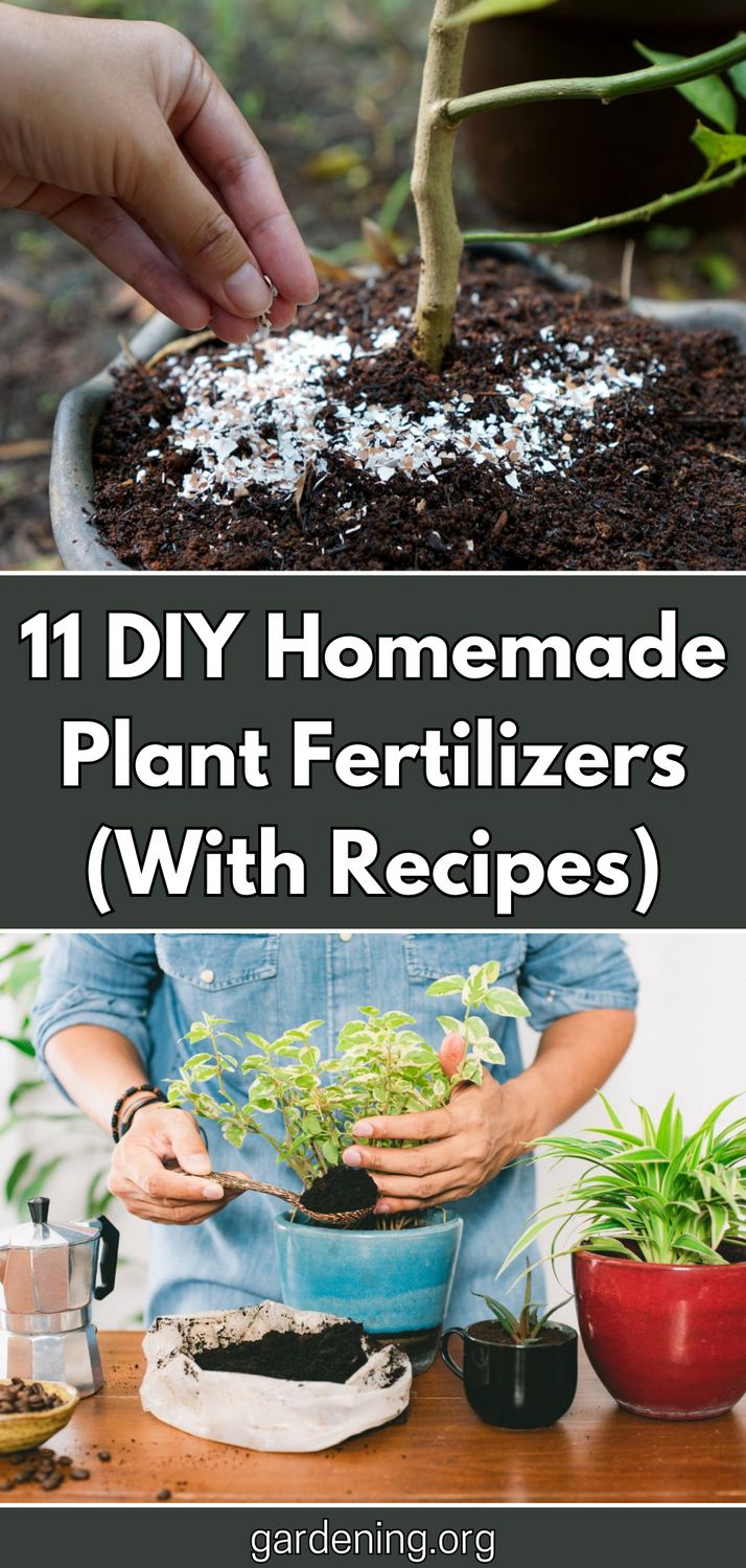 Looking for natural alternatives to commercial plant fertilizers? Check out these 11 easy DIY recipes for homemade plant fertilizers that you can make at home! Phosphorus Fertilizer Diy, Homemade Plant Fertilizer Recipe, Homemade Fertilizer For Vegetables, Diy Plant Nutrients, Diy Organic Fertilizer, Diy Plant Fertilizer How To Make, Natural Fertilizer For Vegetable Garden, House Plant Fertilizer Diy, Diy Indoor Plant Fertilizer