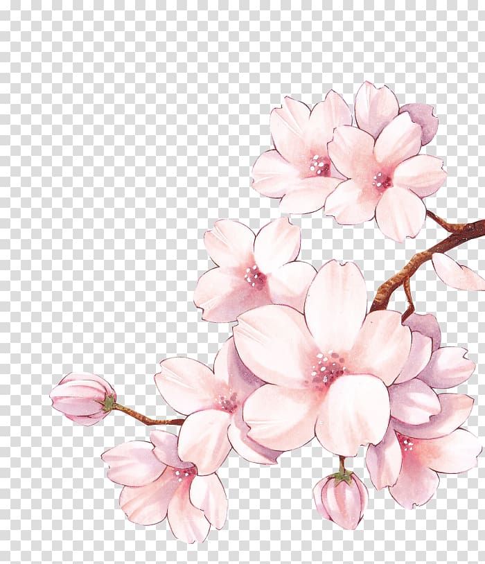 pink flowers on a branch with watercolor paint effect png, clipartion