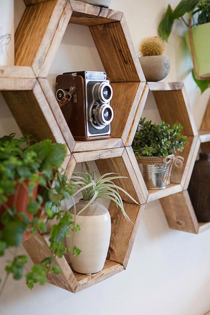 three wooden hexagonal shelves holding plants and a camera