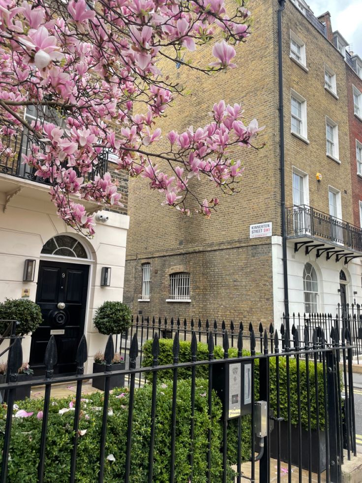 pink flowers are blooming on the tree in front of an old brick apartment building