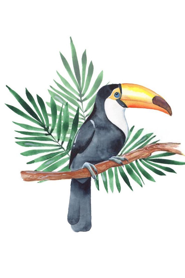 a watercolor painting of a toucan sitting on a branch