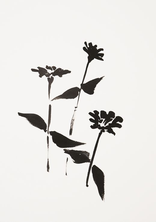 three black flowers on a white background