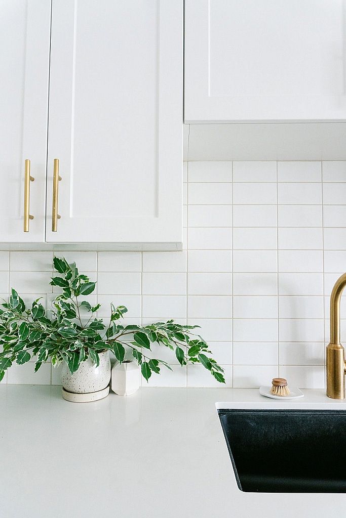 a kitchen with white cabinets and green plants on the counter