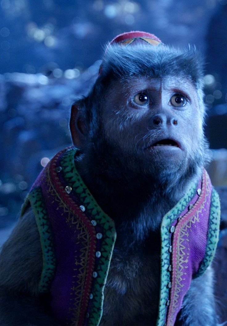 a monkey wearing a purple and green jacket looking up at something in the distance with blurry lights behind it