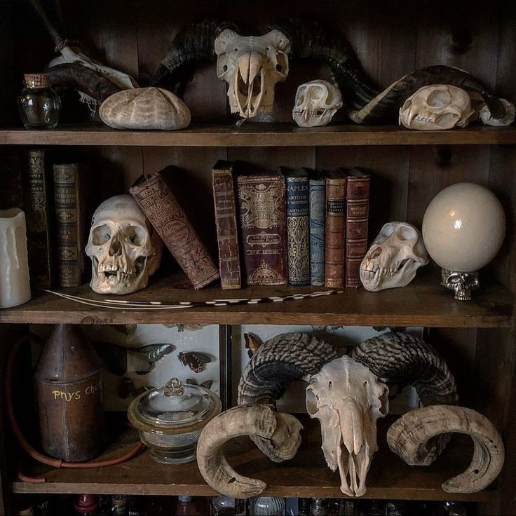 an old book shelf with skulls, books and other items on it's shelves