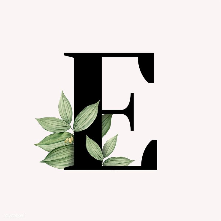 the letter e with leaves on it