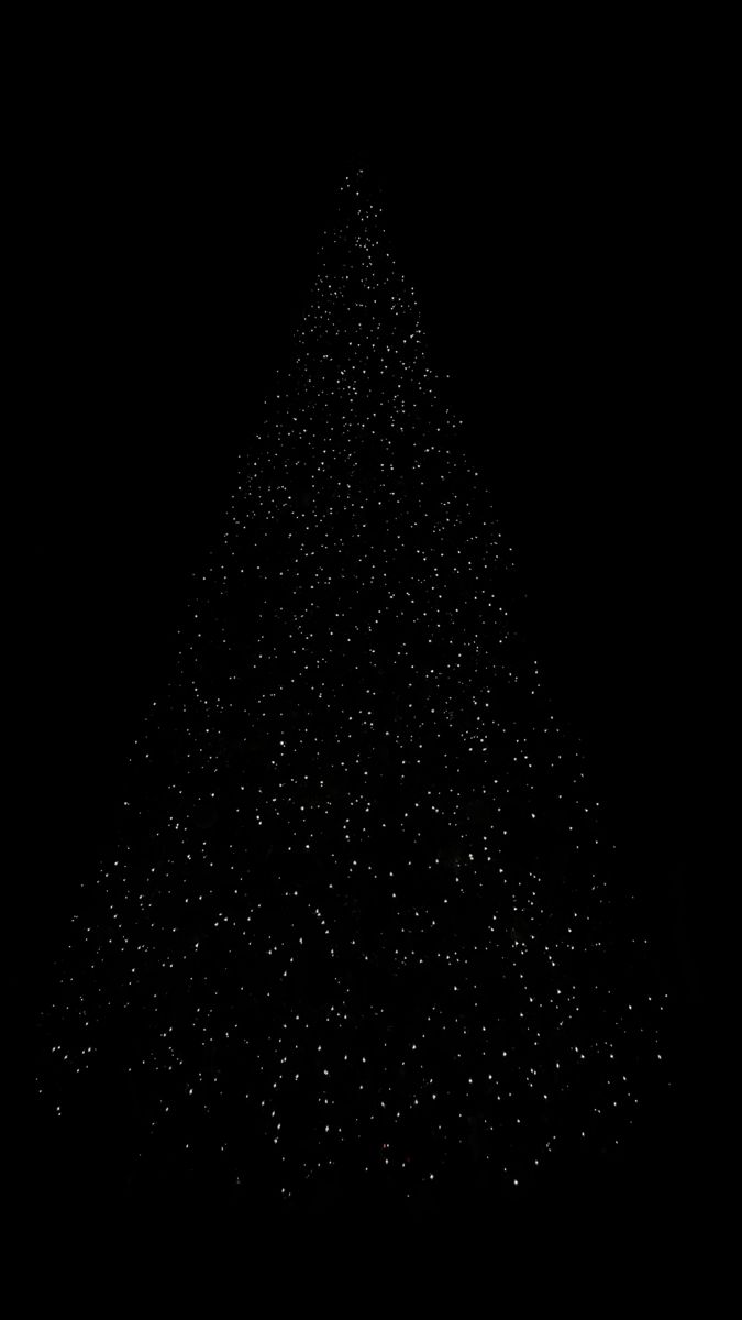 a black and white photo of a christmas tree in the dark with lots of stars