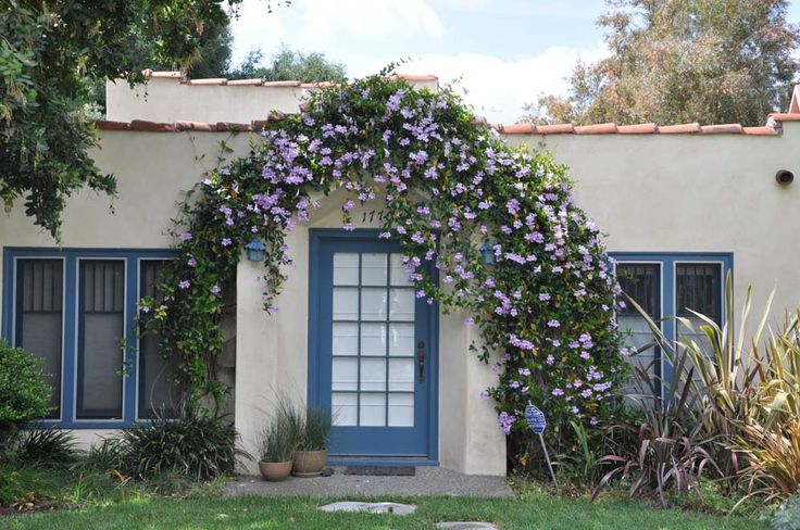 a house covered in purple flowers and vines