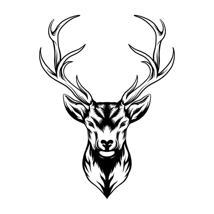 the head of a deer with large antlers on it's face is drawn in black and white