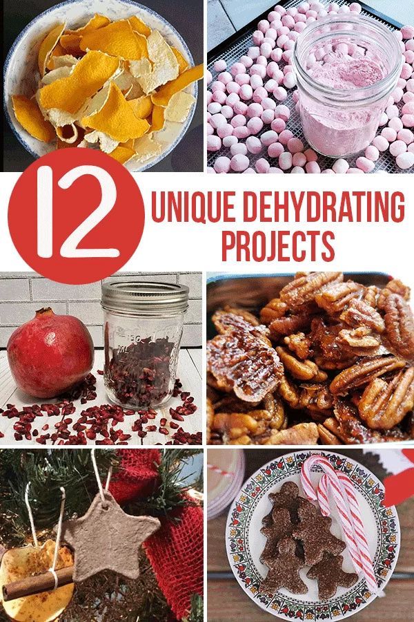 twelve unique dehydrating projects for christmas