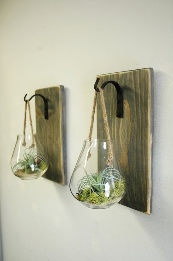 two hanging glass vases with plants in them on a wooden plaque mounted to the wall