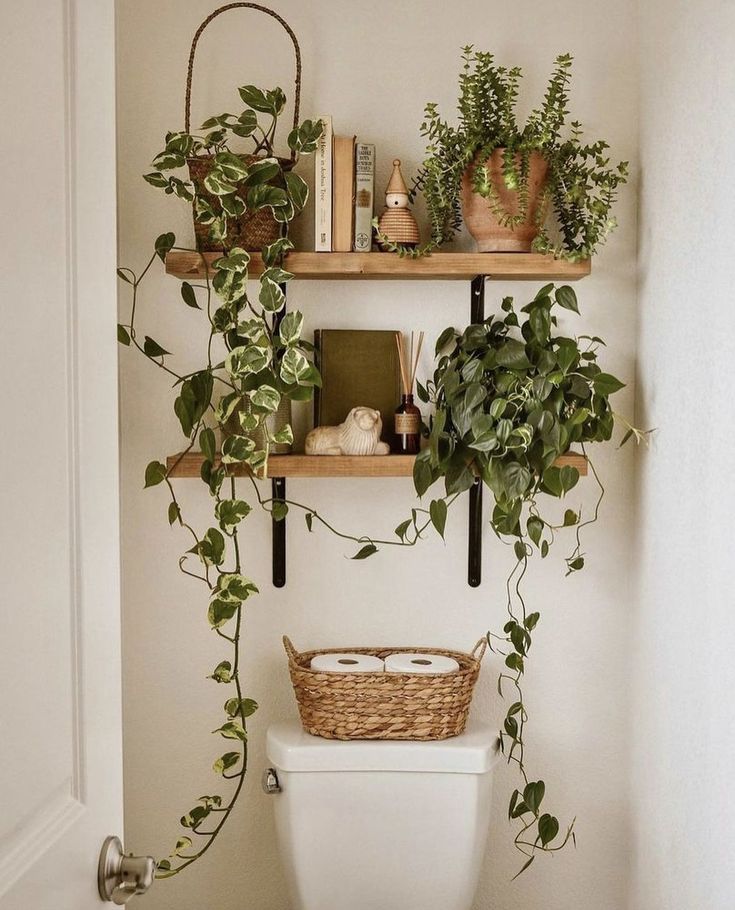 the bathroom is decorated with greenery and bookshelves on the shelves above the toilet