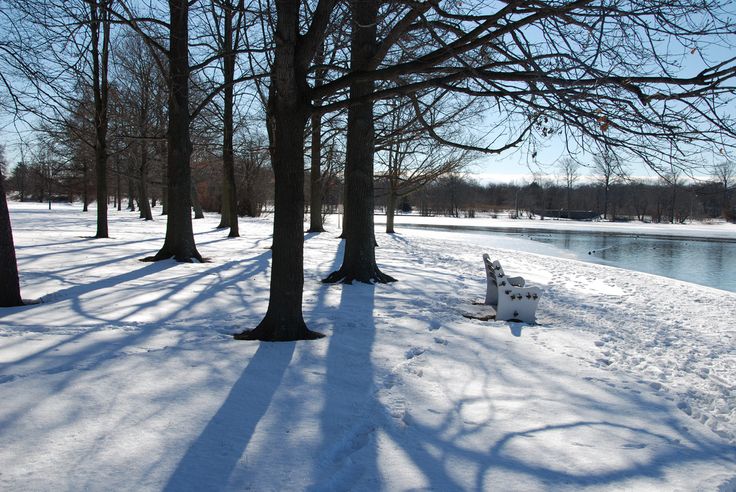 a snow covered park bench next to a lake in the middle of winter with lots of trees