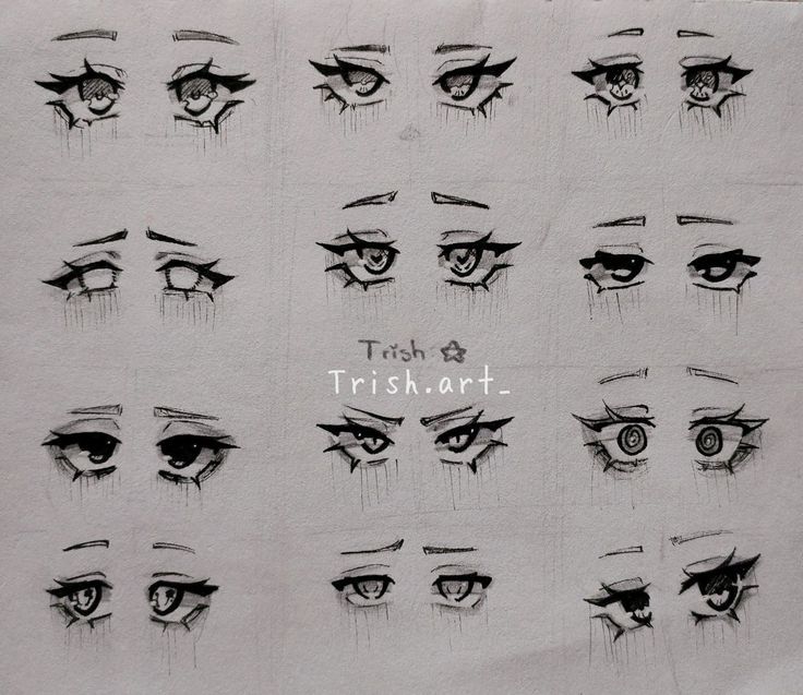 a bunch of different types of eyes drawn on paper