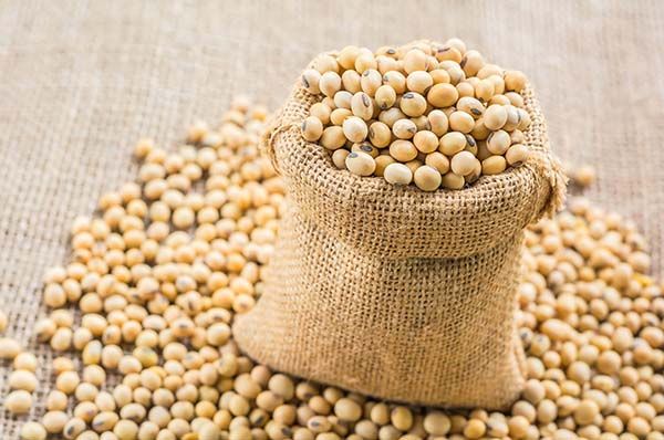 a bag full of chickpeas sitting on top of a table