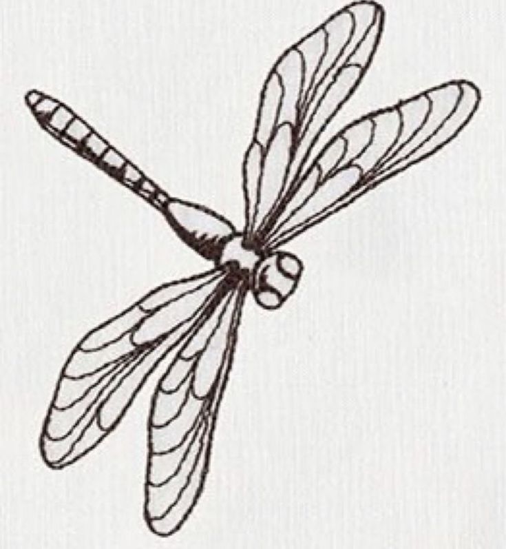 a black and white drawing of a dragonfly