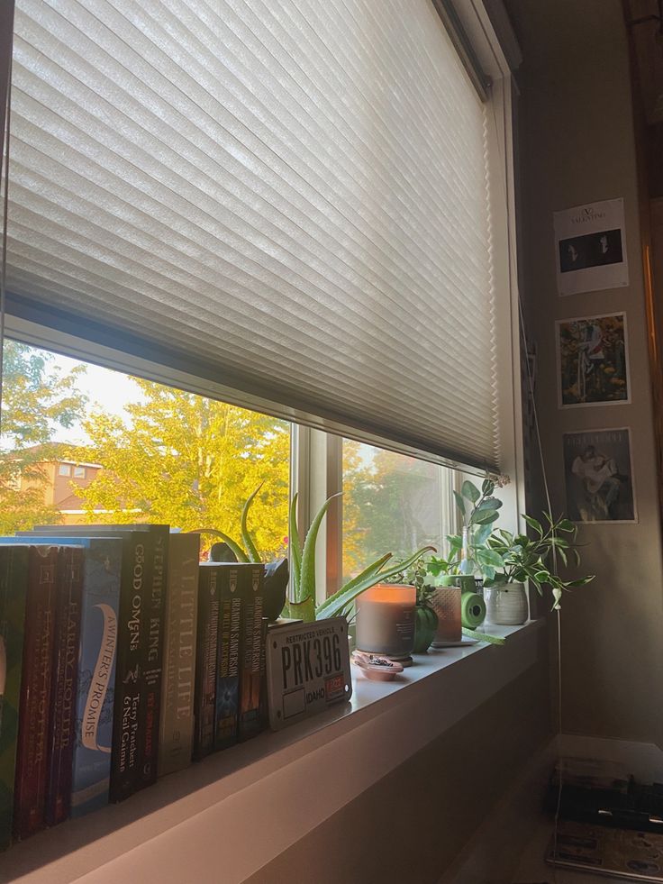 Plants room aesthetic bookshelf aesthetic Window Sill Bedroom Ideas, Books On Windowsill Aesthetic, Windowsill Ideas Bedroom, Window Seal Ideas Decor Bedroom, Windowsill Plants Aesthetic, Window Sill Decor Aesthetic, Aesthetic Window Sill, Books In Window Sill, Bedroom Window Ideas Aesthetic