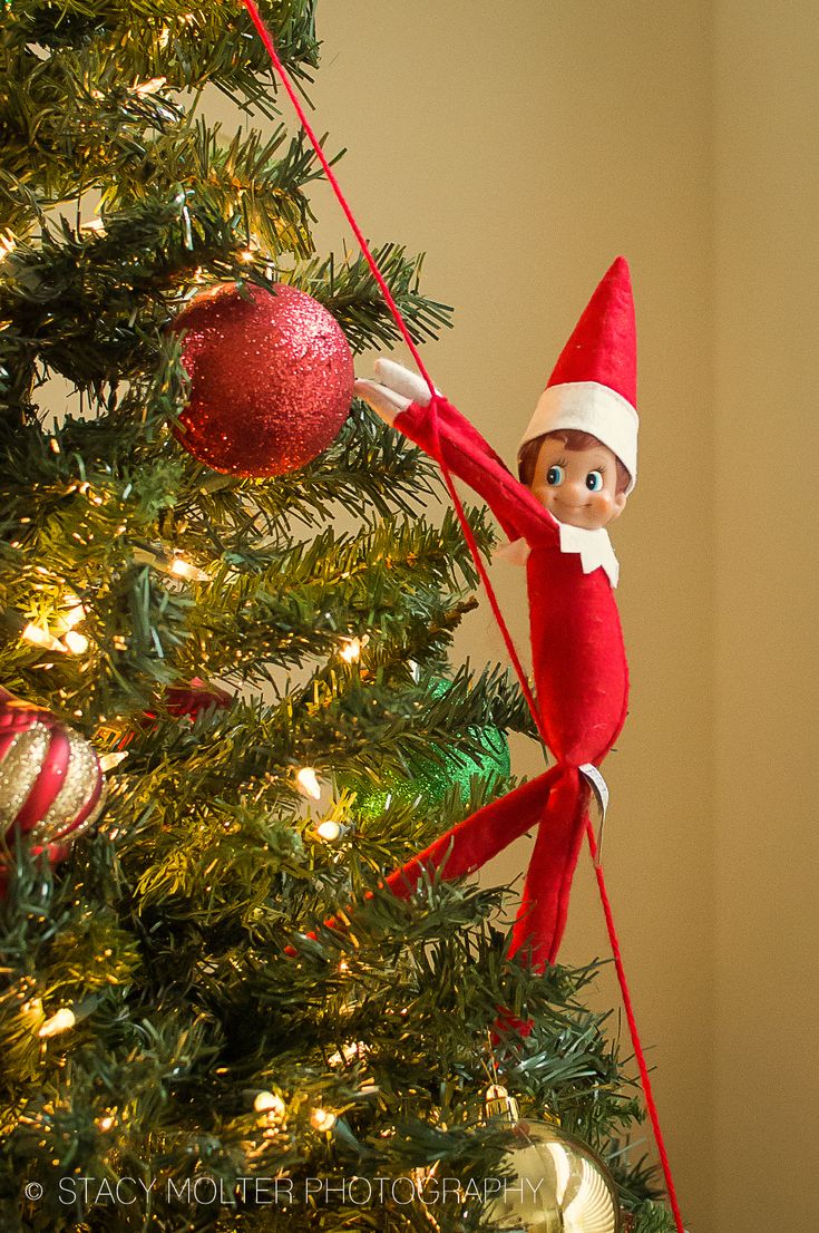 an elf is hanging on the christmas tree