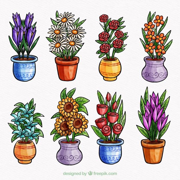 six flower pots with different flowers in them on a white background, watercolor and ink