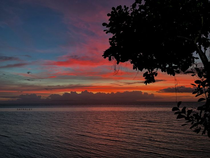 the sun is setting over the water and trees are silhouetted against an orange, blue, and pink sky