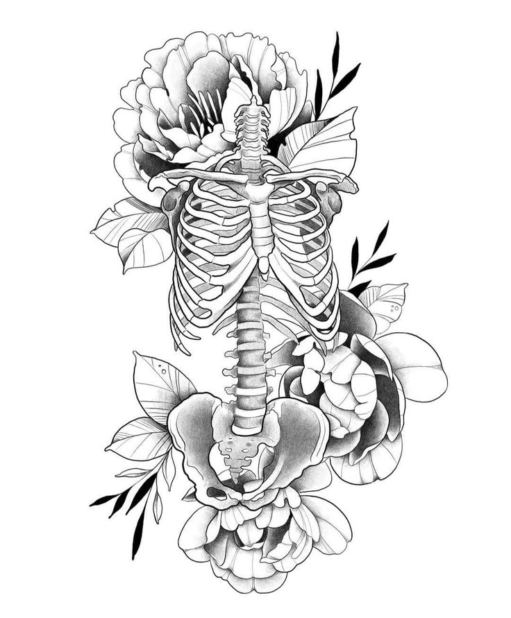 a drawing of a skeleton with flowers on it's back and ribs in the center