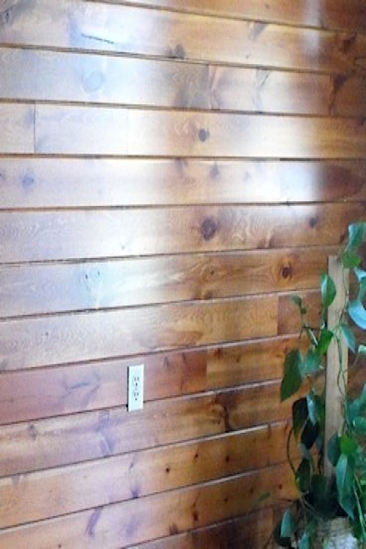 a room with wood paneling and a plant in the corner on the floor next to it