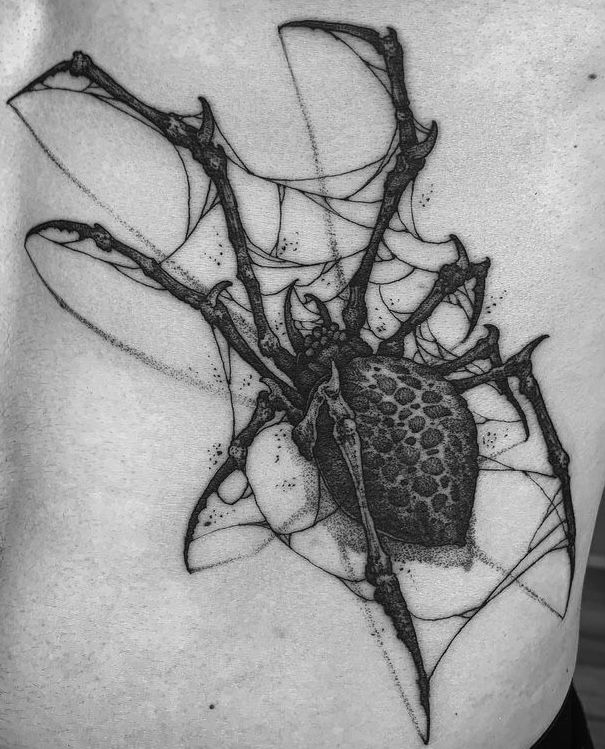 a black and white photo of a spider on the back