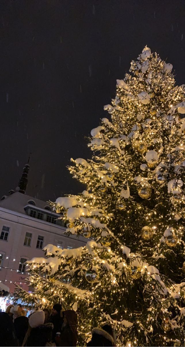 a large christmas tree is lit up in the snow