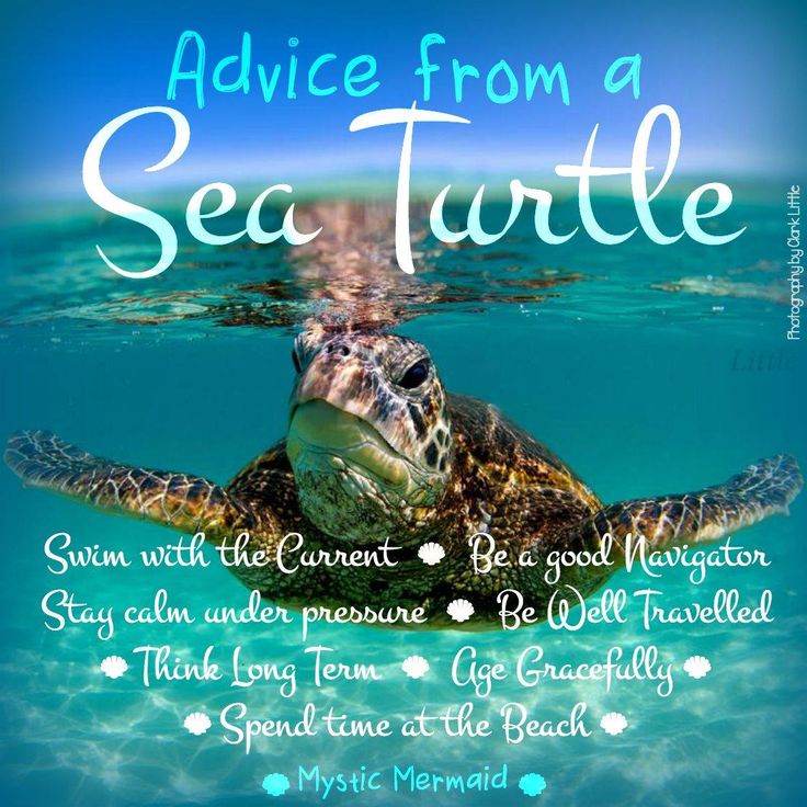 a turtle swimming under water with the words advice from a sea turtle on it's back