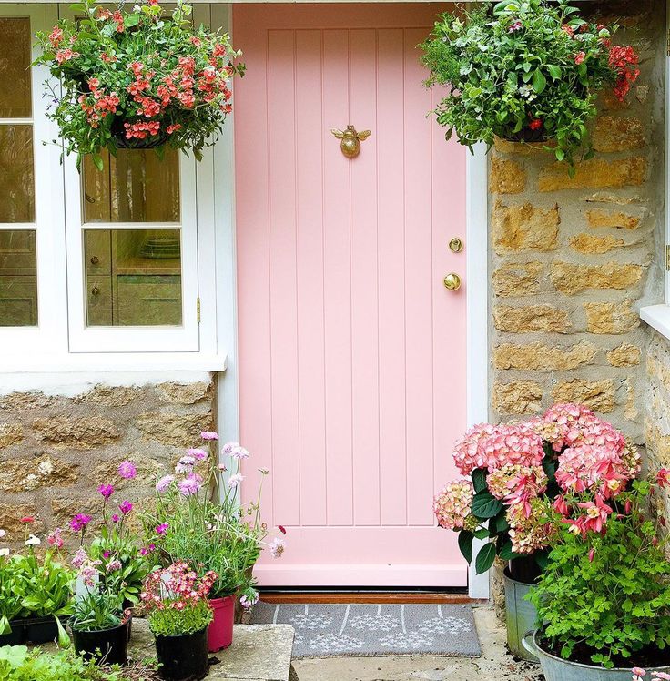 a pink door with potted flowers in front of it and some plants on either side