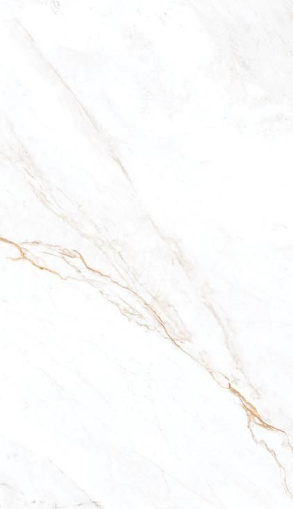 a white marble background with gold veining