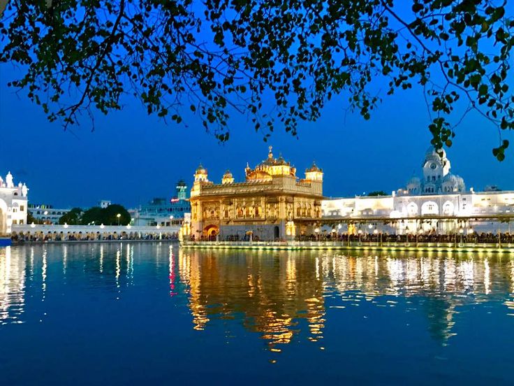 the golden temple is lit up at night