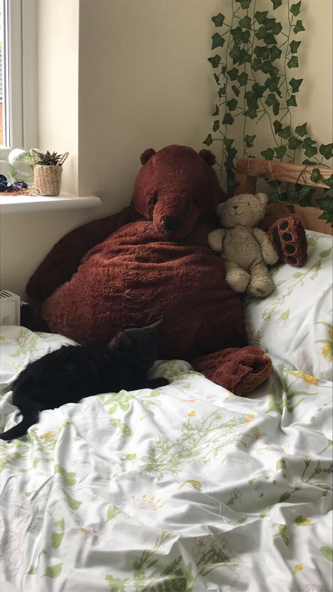 a large teddy bear laying on top of a bed next to a black cat and a window