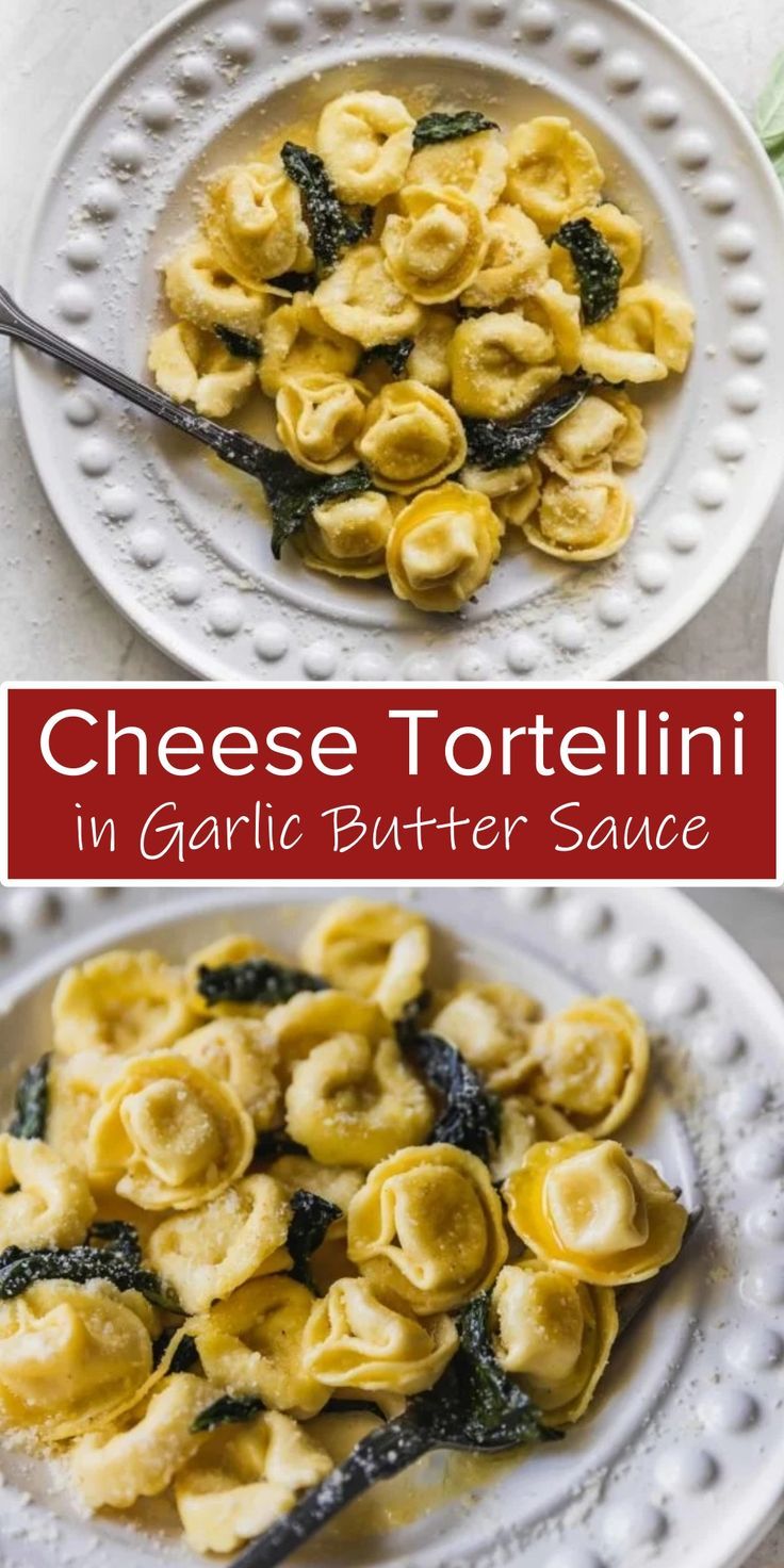 cheese tortelli in garlic butter sauce on a white plate