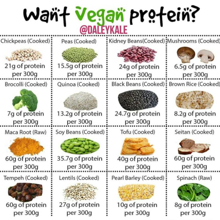 an image of what vegan protein is in this chart