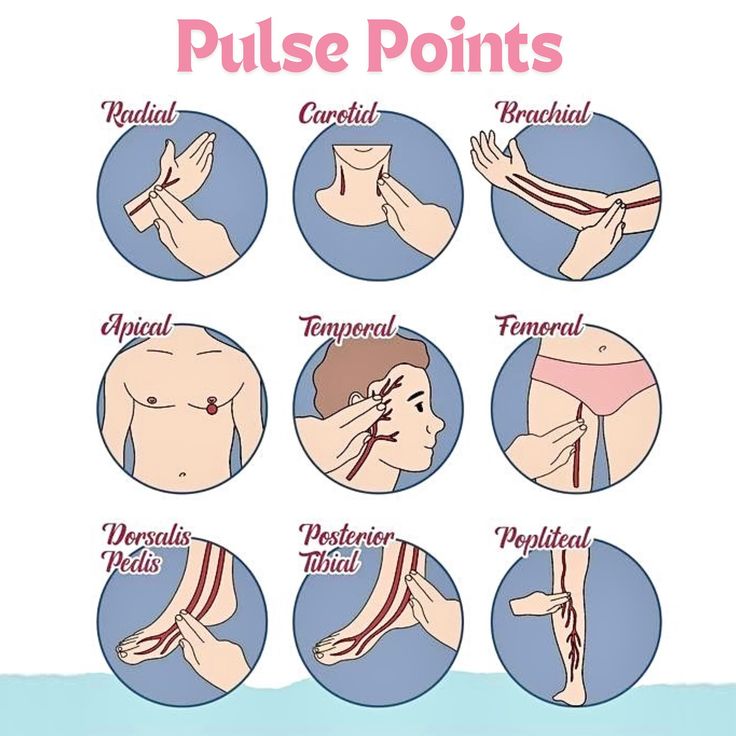 a poster showing how to use the pulse points in different positions, including an arm and chest