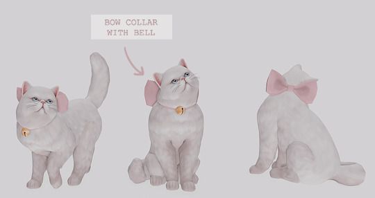 three white cats with pink bows and collars