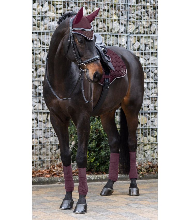 a brown horse standing on top of a stone floor next to a metal fence and shrubbery