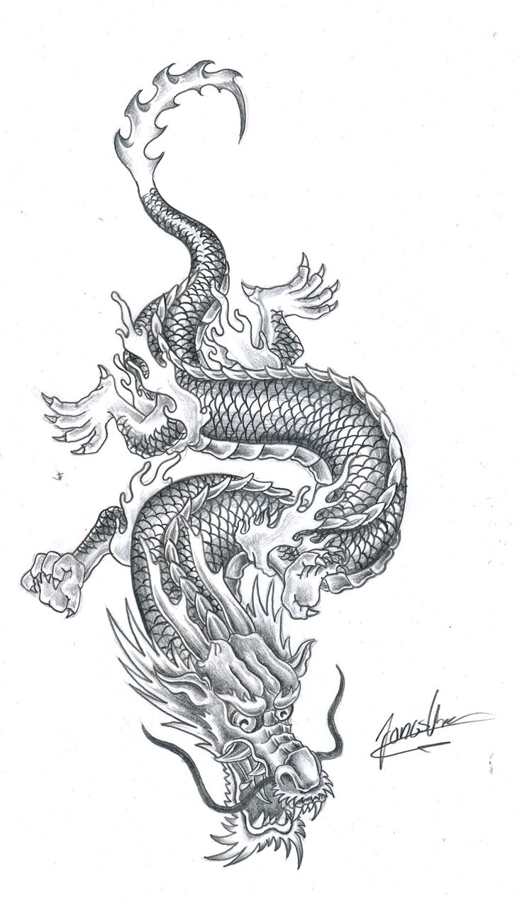 a black and white drawing of a dragon