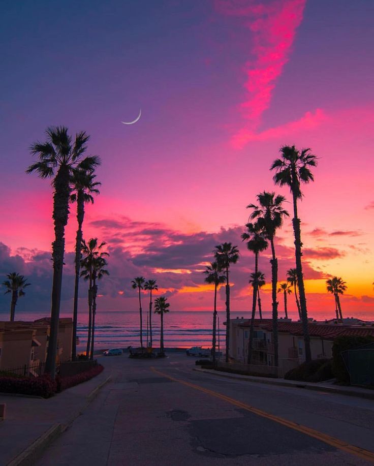 palm trees line the street as the sun sets in front of the ocean and beach