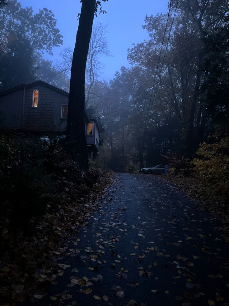 a dark road with leaves on the ground and houses in the background at night time