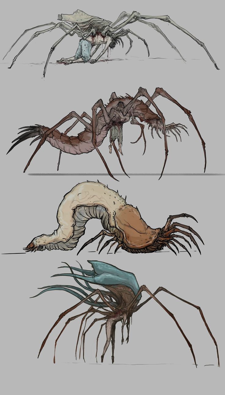 four different types of spider legs and claws, each with an insect's head