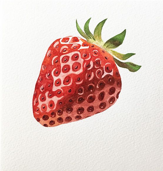 a watercolor painting of a strawberry on white paper