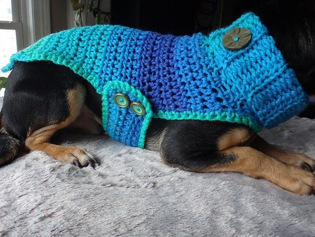 a dog laying on top of a bed wearing a blue and green knitted sweater