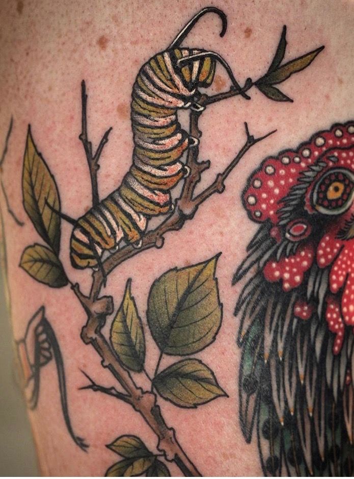 a close up of a tattoo on a person's back with a rooster and caterpillar