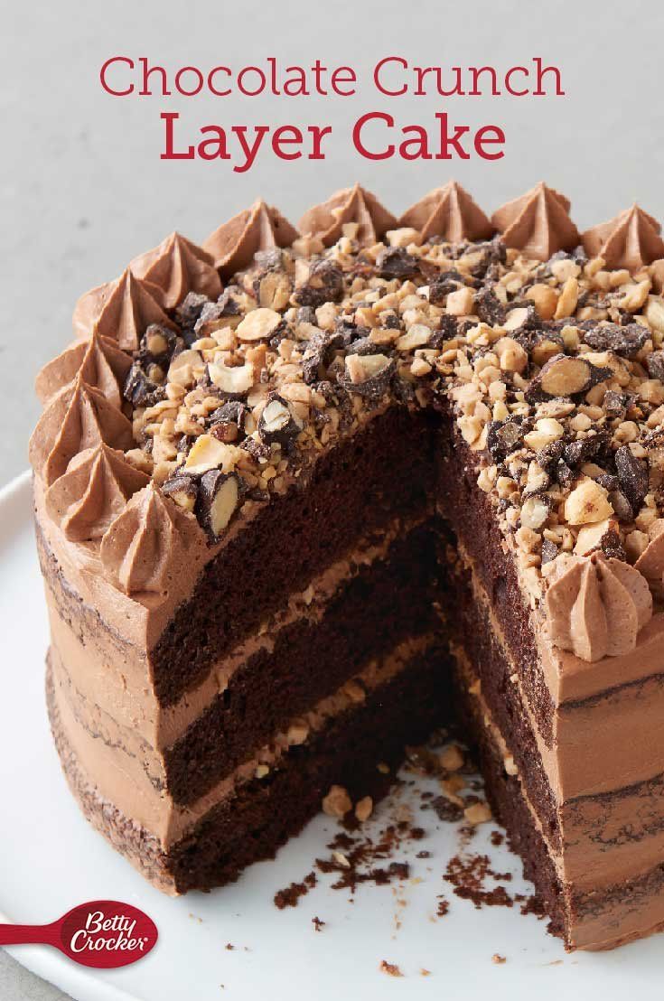 chocolate crunch layer cake on a white plate