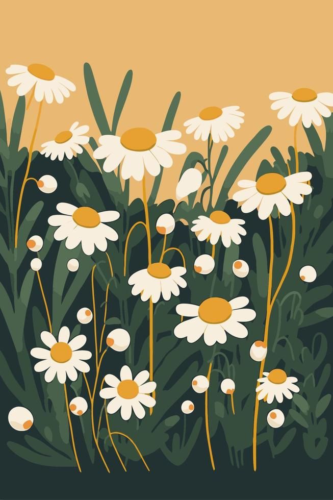 an illustration of daisies in the grass