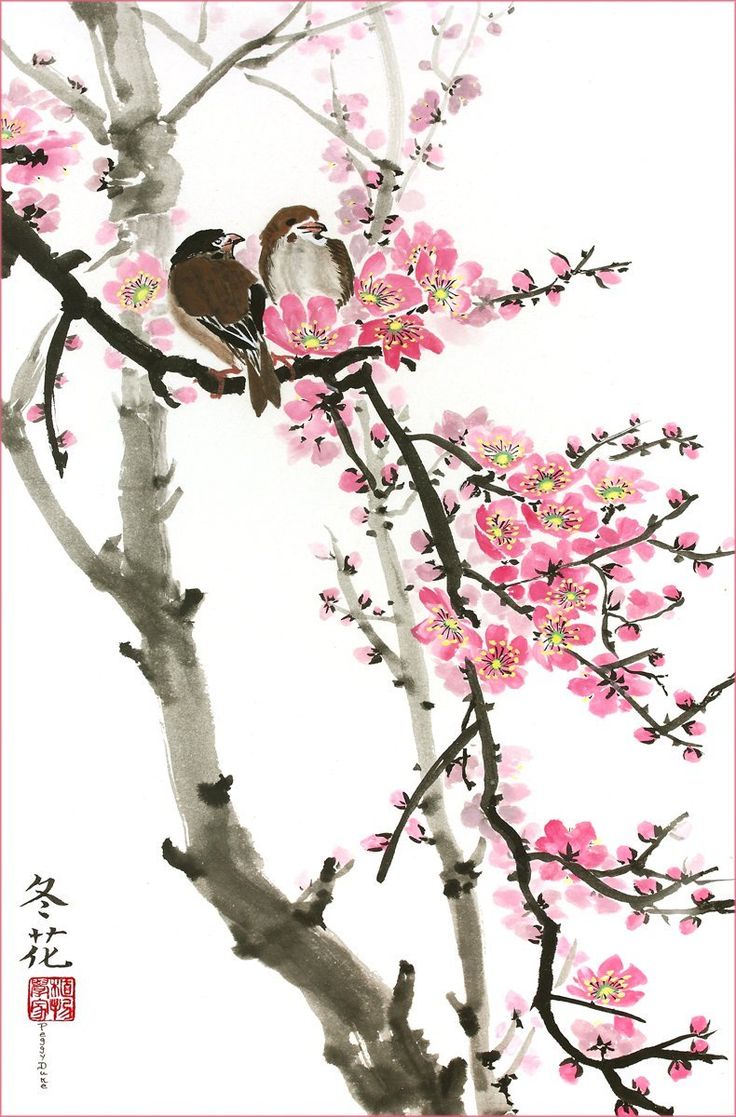 Amazon.com: Love Birds on the Cherry Blossom Tree -- White Background, Giclee Print, Flower Picture of Two Birds Perching on a Branch, 13 X 20 Inches: Watercolor Paintings Aluminum Foil Art, Cherry Blossom Painting, Cherry Blossom Art, Asian Painting, Blossoms Art, Foil Art, Blossom Tree, Art Japonais, Cherry Blossom Tree