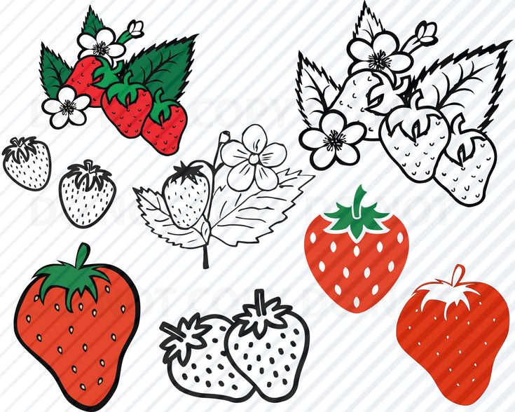 a bunch of strawberries and berries on a white background