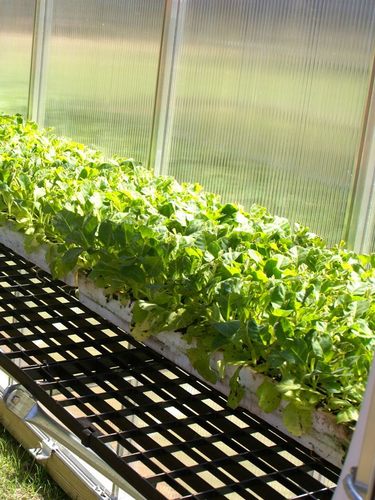 a green house filled with lots of plants next to a metal grate on the ground